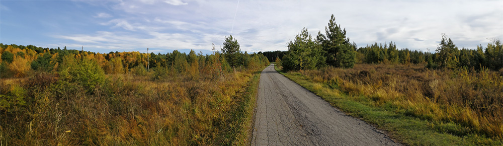 Die Stimme des Herzens | Buddhistisches Zentrum Scheibbs