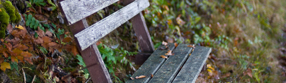 Achtsamkeit und Selbstliebe | Buddhistisches Zentrum Scheibbs