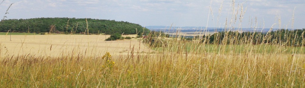 Meditationspraxis | Buddhistisches Zentrum Scheibbs