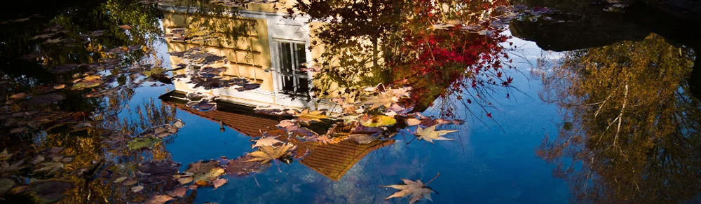 Vipassana Meditation – Wandlung durch Verstehen | Buddhistisches Zentrum Scheibbs