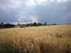 Buddhistisches Zentrum Scheibbs