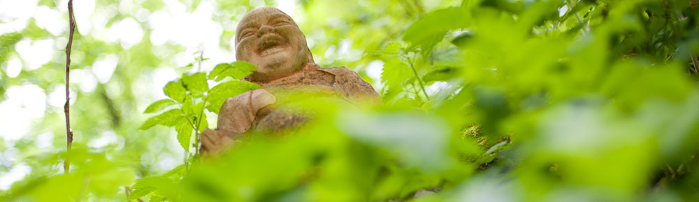 Zenübungswoche | Buddhistisches Zentrum Scheibbs