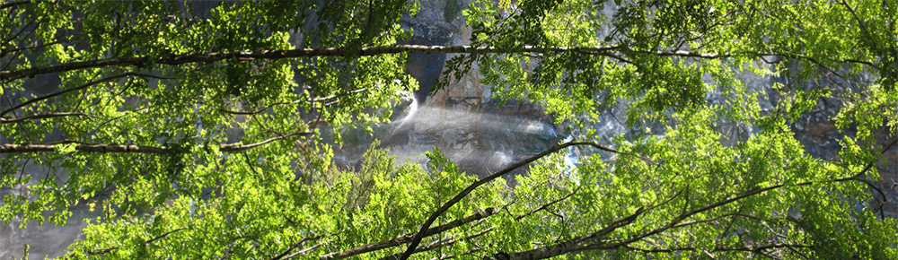 Butoh Tanz | Buddhistisches Zentrum Scheibbs